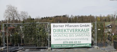 2023-04-Borner-Pflanzen-Schaugarten-8