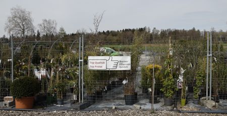 2023-04-Borner-Pflanzen-Schaugarten-9